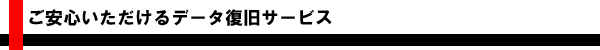 �����ł���f�[�^���J�o���T�[�r�X��񋟂������܂�
