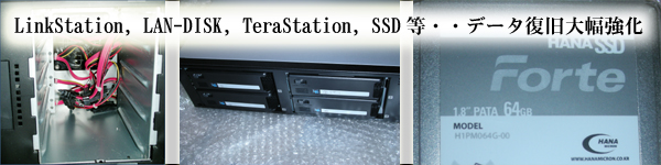 LinkStation, LAN-DISK, TeraStation�̑啝����