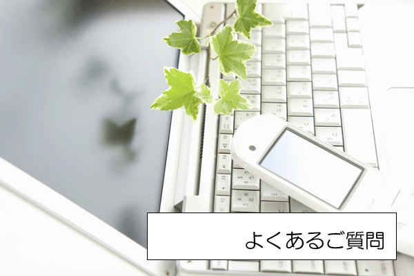������(FAQ)