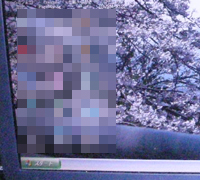 �ߋ��Ɏ�舵�������Č�_43