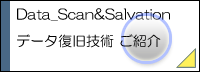 新技術「DIRECTSCAN」をご紹介