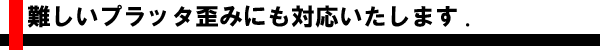 難しいプラッタ歪みにも対応