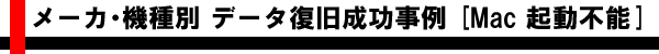 メーカ・機種別 AIデータ復旧成功事例 [Mac 起動不能]