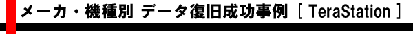 メーカ・機種別 データ復旧成功事例 [TeraStation]